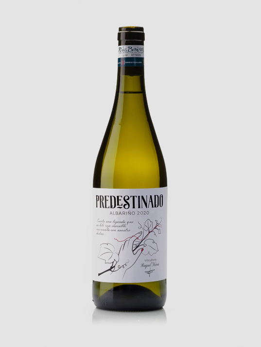 Comprar botella Albariño Rías Baixas - Predestinado Botella 75cl. Predestinado