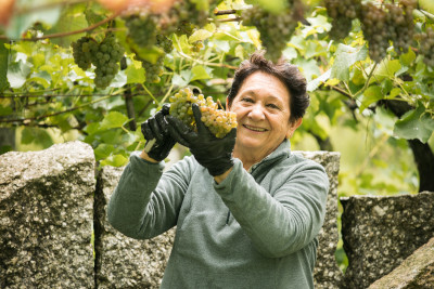 El Vino - Galería de imágenes - Imagen: 3